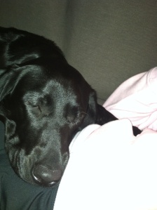 Basil and I cuddling at nap time!!