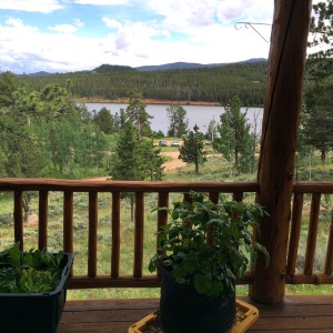The view off of the deck overlooking the lake in Red Feather Lakes, CO.