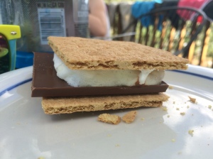 Mmmm...S'mores :)