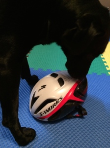 Basil approves of my new helmet!!